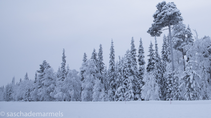 utopia lappland, ©saschademarmels